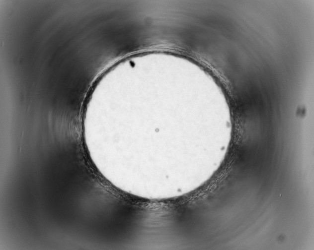 X0000103911316200810101259