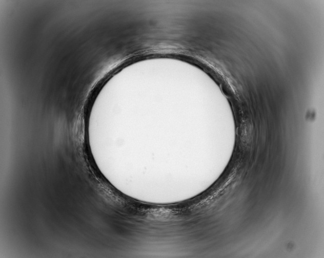 X0000103911317200810101259