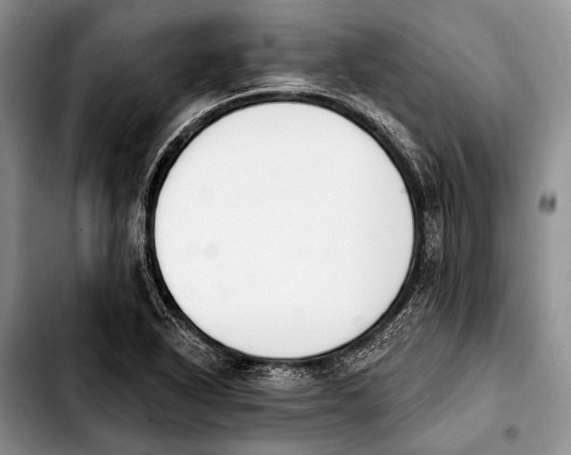 X0000103911318200810101259