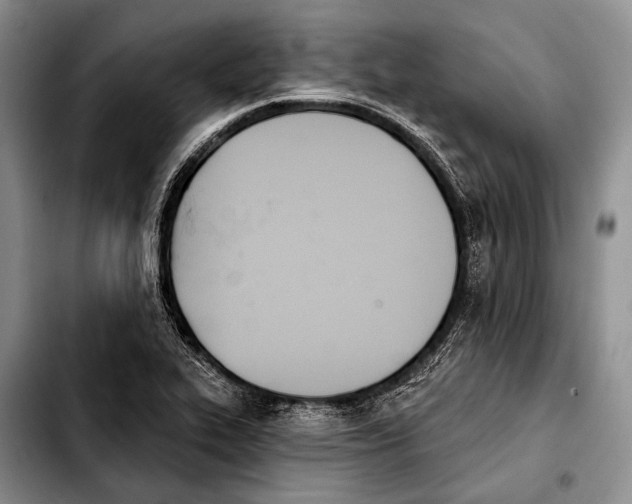 X0000103911319200810101259
