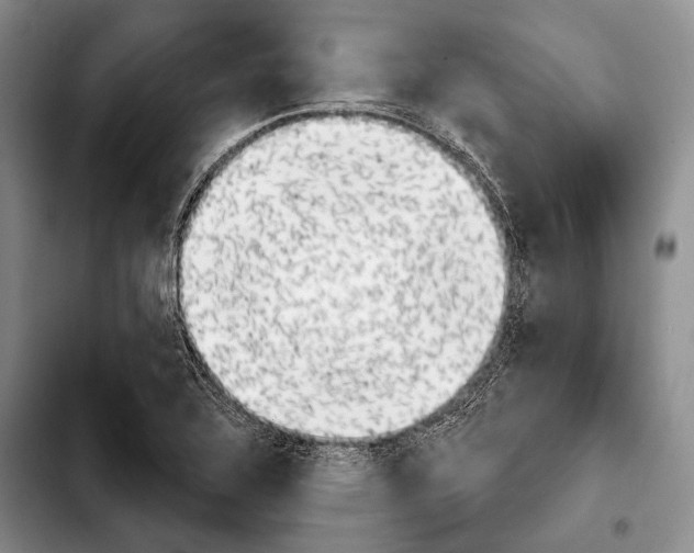 X0000103911320200810101259