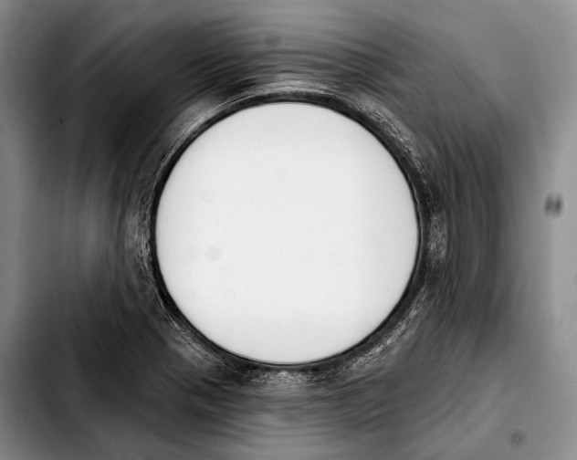 X0000103911321200810101259
