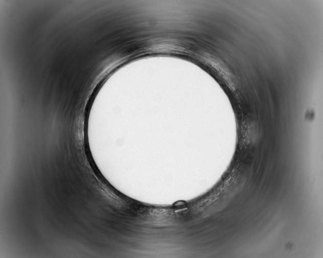 X0000103911322200810101259