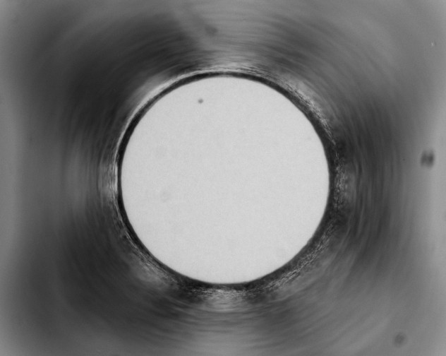 X0000103911324200810101259