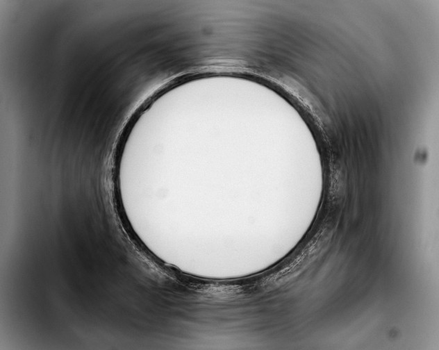 X0000103911325200810101259