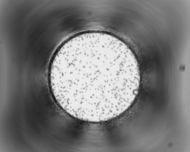 X0000103911326200810101259