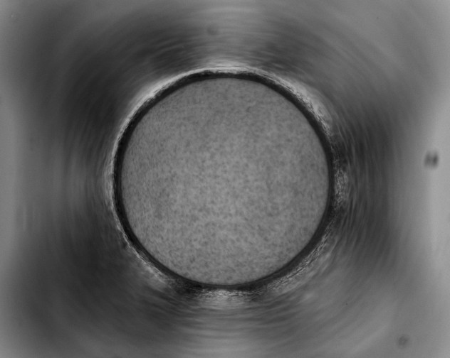 X0000103911327200810101259