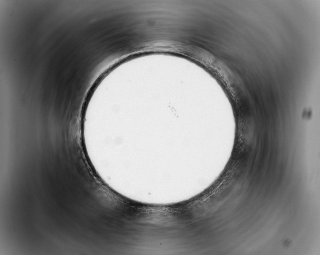 X0000103911328200810101259
