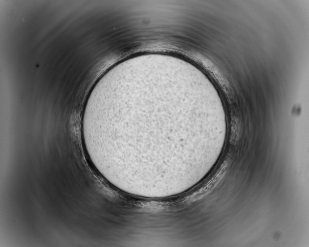 X0000103911329200810101259
