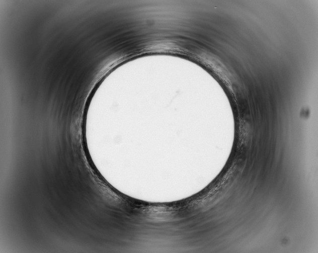 X0000103911330200810101259