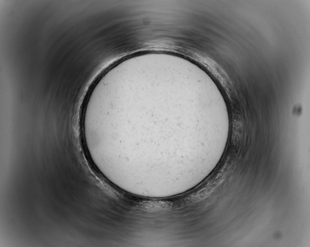 X0000103911331200810101259