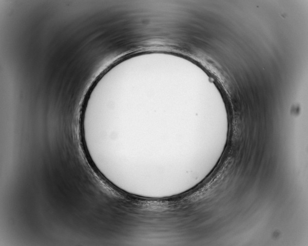 X0000103911333200810101259
