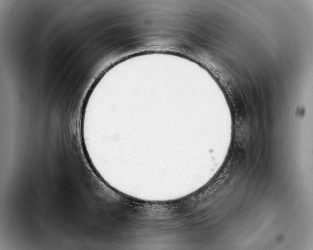 X0000103911334200810101259