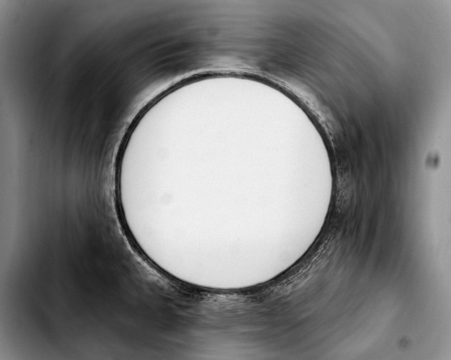 X0000103911335200810101259