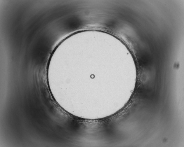 X0000103911336200810101259