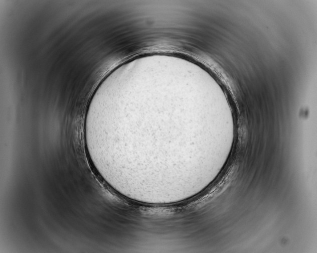 X0000103911337200810101259