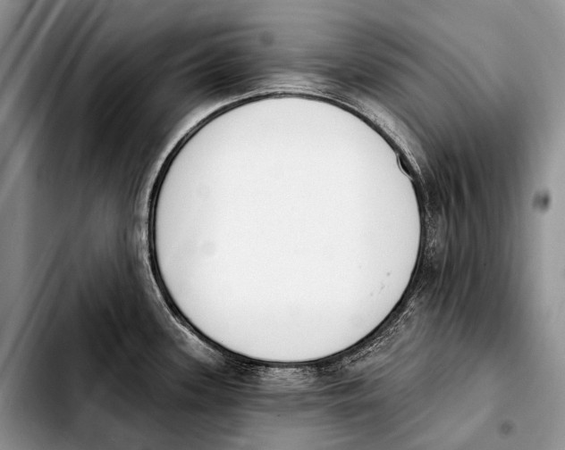 X0000103911339200810101259