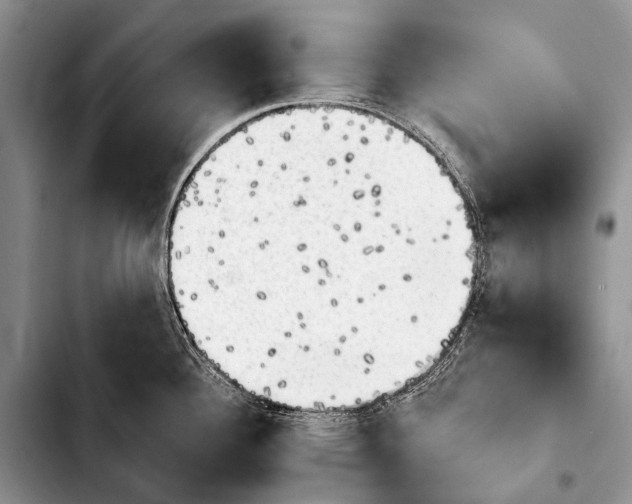 X0000103911340200810101259