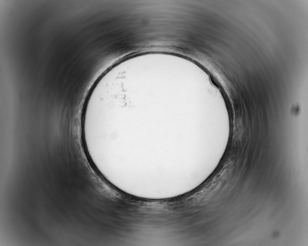 X0000103911341200810101259