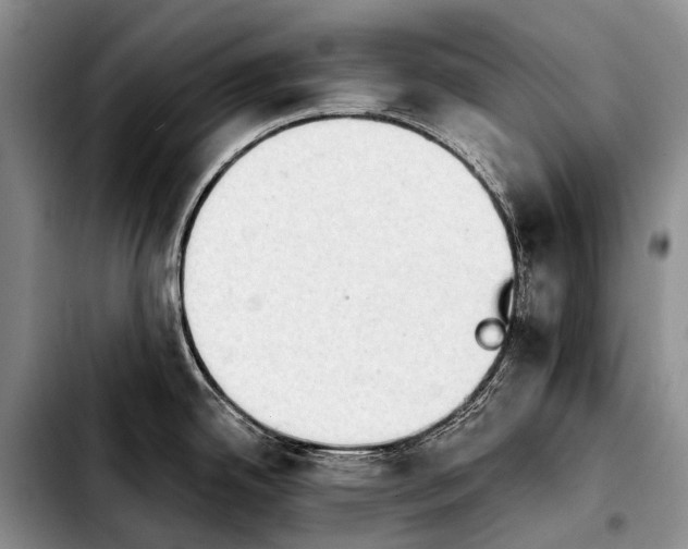 X0000103911342200810101259