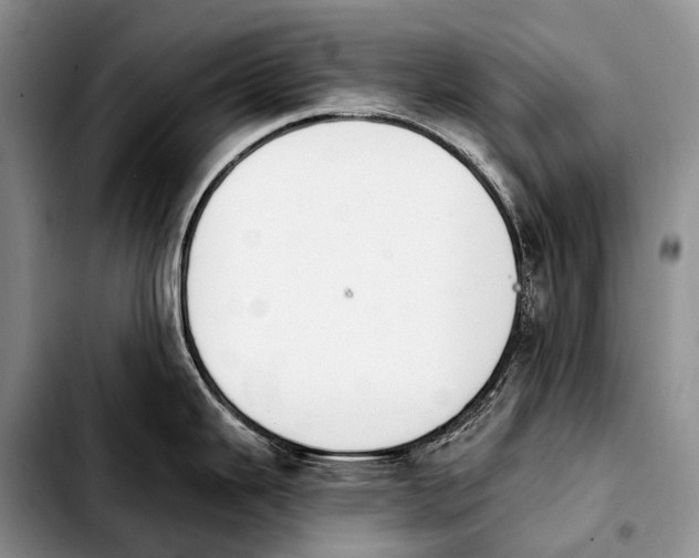 X0000103911343200810101259