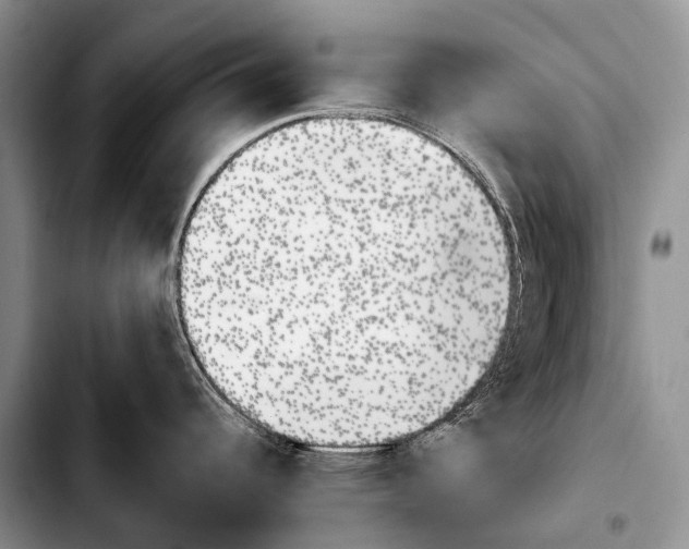 X0000103911344200810101259