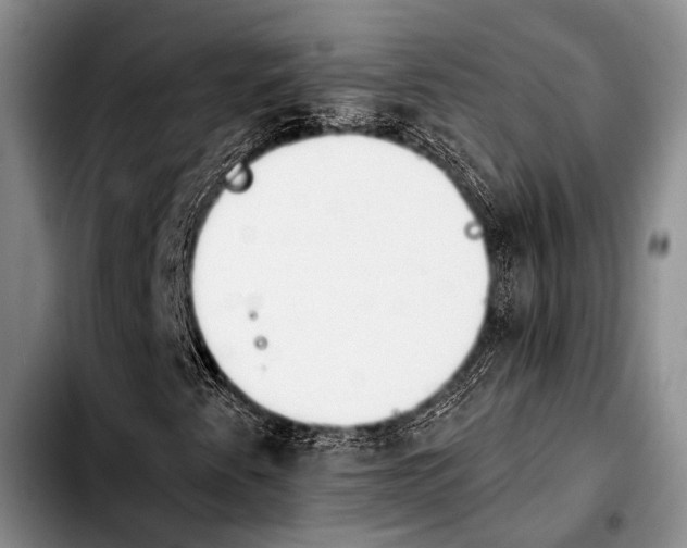 X0000103911345200810101259