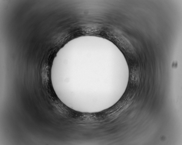 X0000103911346200810101259