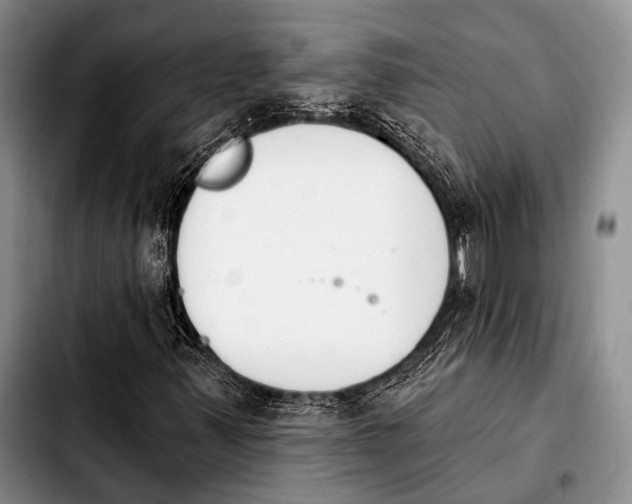 X0000103911347200810101259