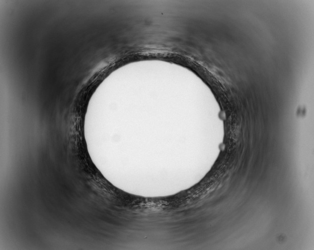 X0000103911351200810101259