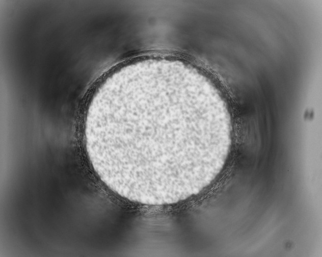 X0000103911352200810101259
