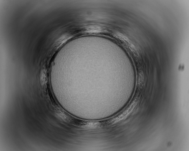 X0000103911353200810101259