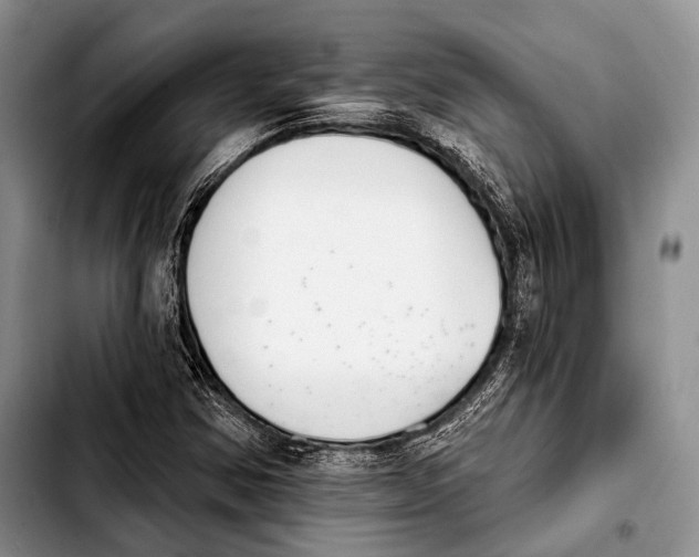 X0000103911354200810101259