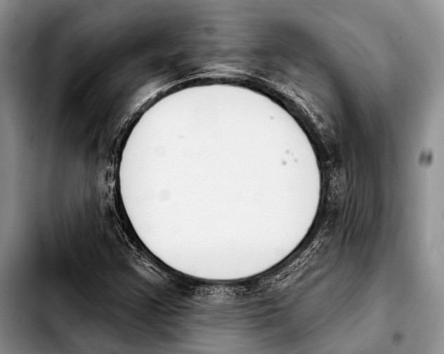 X0000103911355200810101259