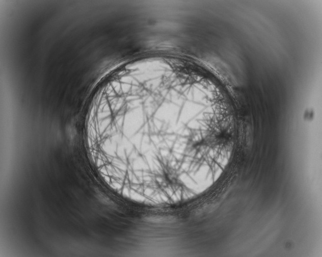 X0000103911356200810101259