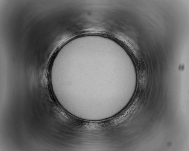 X0000103911357200810101258