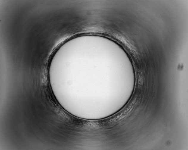 X0000103911358200810101258