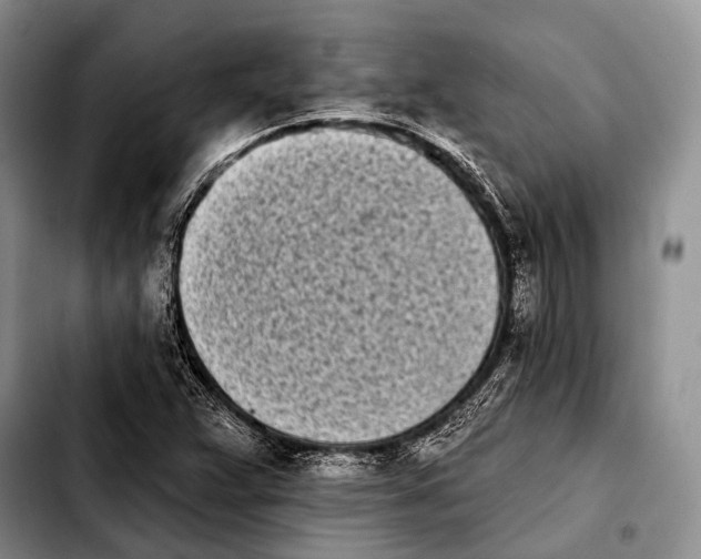 X0000103911359200810101258
