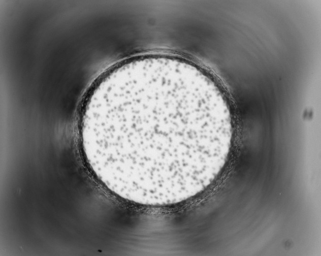 X0000103911360200810101258