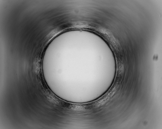 X0000103911361200810101258