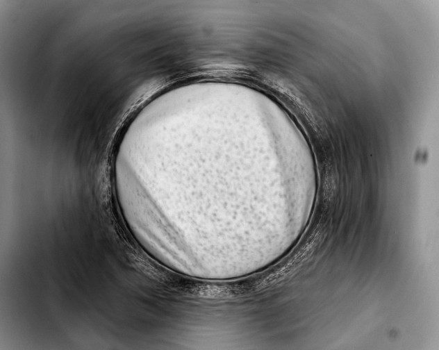 X0000103911362200810101258