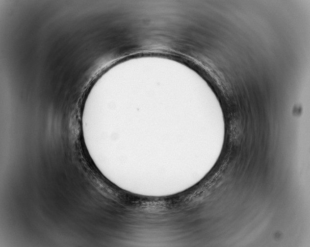 X0000103911363200810101258