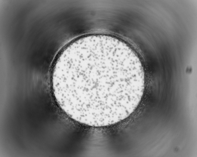 X0000103911364200810101258