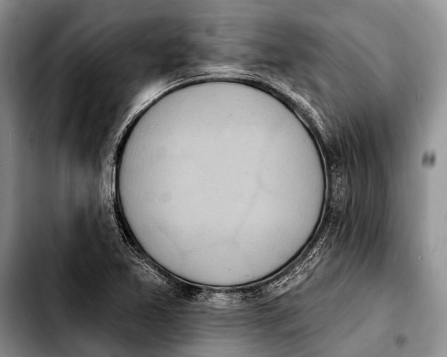 X0000103911365200810101258