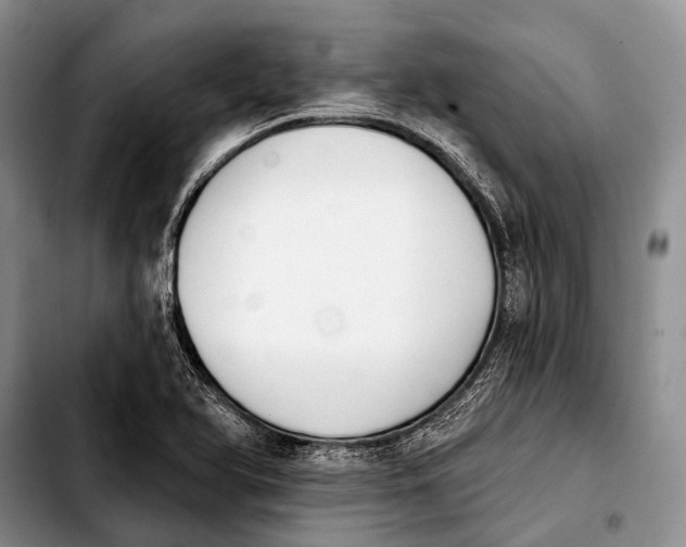 X0000103911366200810101258