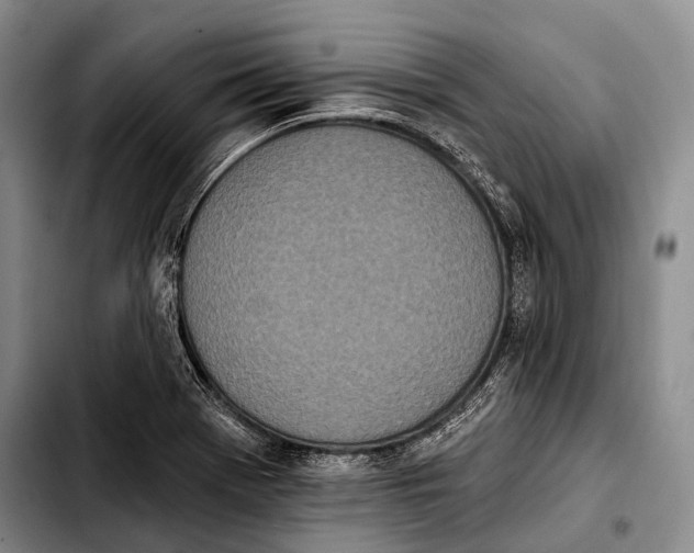 X0000103911369200810101258