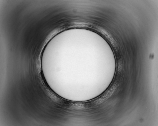 X0000103911370200810101258