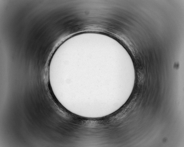 X0000103911371200810101258