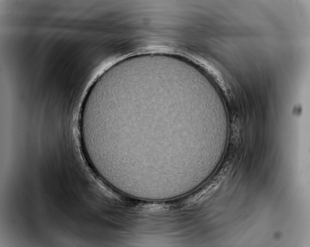X0000103911373200810101258