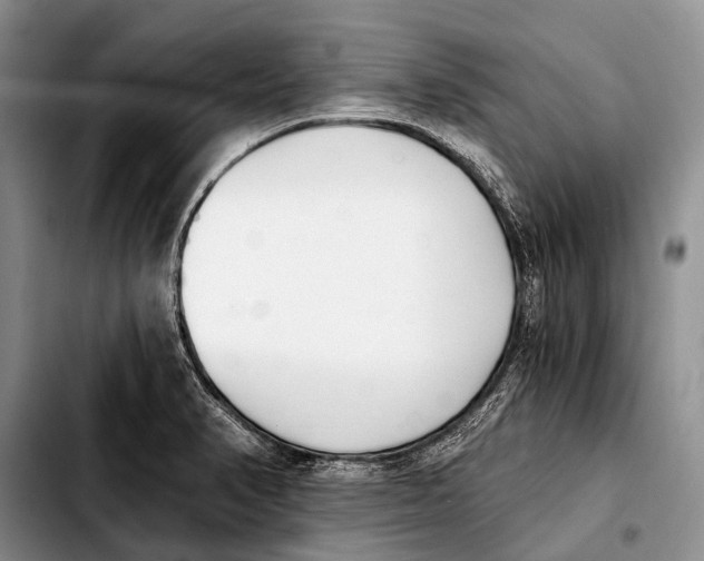 X0000103911374200810101258